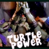 turtle power !